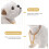 Decorazione Cane Che Scuote Testa Per Negozio ( ) 11