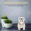 Decorazione Cane Che Scuote Testa Per Negozio ( ) 8