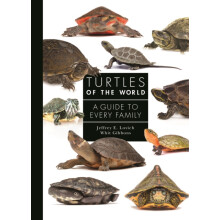 Turtles of the World by Dr. Whit Professor Emeritus of Ecology Gibbons