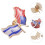 Distintivo Usa Israele Spilla Bavero 5