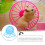 1 St Hamster Springhjul Löpande Leksak Träningsspel 9