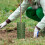 3Pcs Tree Trunk Protectors Plant Protective Covers Guard 11