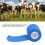 12Pcs Elastic Self Adhesive Bandage for Animals 10cm Blue 6