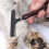 En Poils Naturels Avec Manche Acier Pour Animaux 4