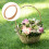 2 Rouleaux Pour Artisanat Diy Lisse Plate 3