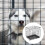 Ensemble De Cage Pliable Pour Chat En De 10
