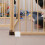 12 Pezzi Clip Per Stabilizzatore Bambino 4