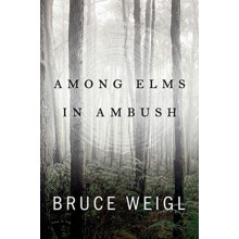 Among Elms in Ambush by Bruce Weigl Paperback Book