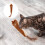 Peluche Souris Avec À Chat Papier Bruissant Pour 6