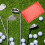De Controle De Pontuação Para Golfe 3