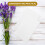 30 Pezzi Cotone Assorbente 11,8"X7,3" per Bouquet 10