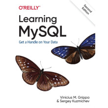 Learning MySQL by Sergey Kuzmichev Paperback Book