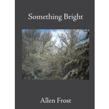 Something Bright by Allen Frost Paperback Book