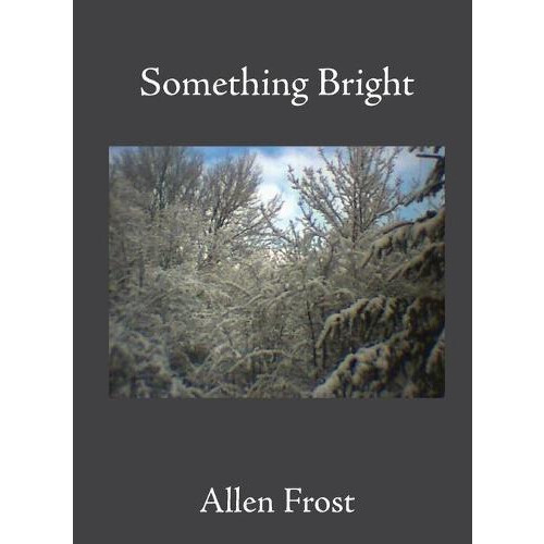 Something Bright by Allen Frost Paperback Book