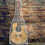 Cover Antipolvere In Pvc Per Chitarra E Basso 9
