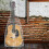 Cover Antipolvere In Pvc Per Chitarra E Basso 11