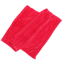 Manta De Fleece Flanela Para Pets Sólida (Vermelho Brilhante)