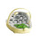 Silkworm Development Tanks Clear Silkworm Observation-yellow 1