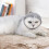 Regulable Cats Muzzles Muzzles for Grooming and Bathing with 2