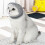 Regulable Cats Muzzles Muzzles for Grooming and Bathing with 6