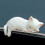 Computer Monitors Decoration 4Pcs Cartoon Cats Resins Miniature 7