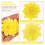 100 Unidades Flores Flor De Crisântemo Acessórios 10