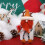 Gnomes Kits de démarrage de feutrage à l'aiguille Kits de 7