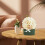 20 Unidades Base De Floricultura Espuma Com Absorção De 9