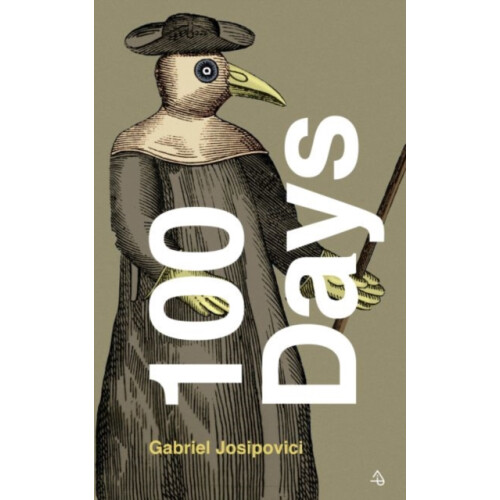 100 Days by Gabriel Josipovici Paperback Book