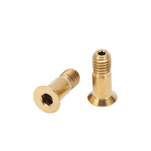 Titanlegierung Hinterrad-Schaltwerk-Gelenkwellen-Schraube M5x14,2 mm Gold