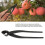 Ergonomic Bonsai Pruning Tool with Concave Blade for Precise Bonsai Modelling 11