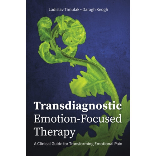 Transdiagnostic EmotionFocused Therapy by Daragh Keogh Paperback Book