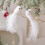 Décorations réalistes d'oiseaux à plumes blanches, 2 pièces,-B 4