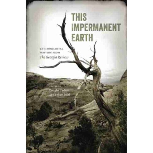 This Impermanent Earth Paperback Book