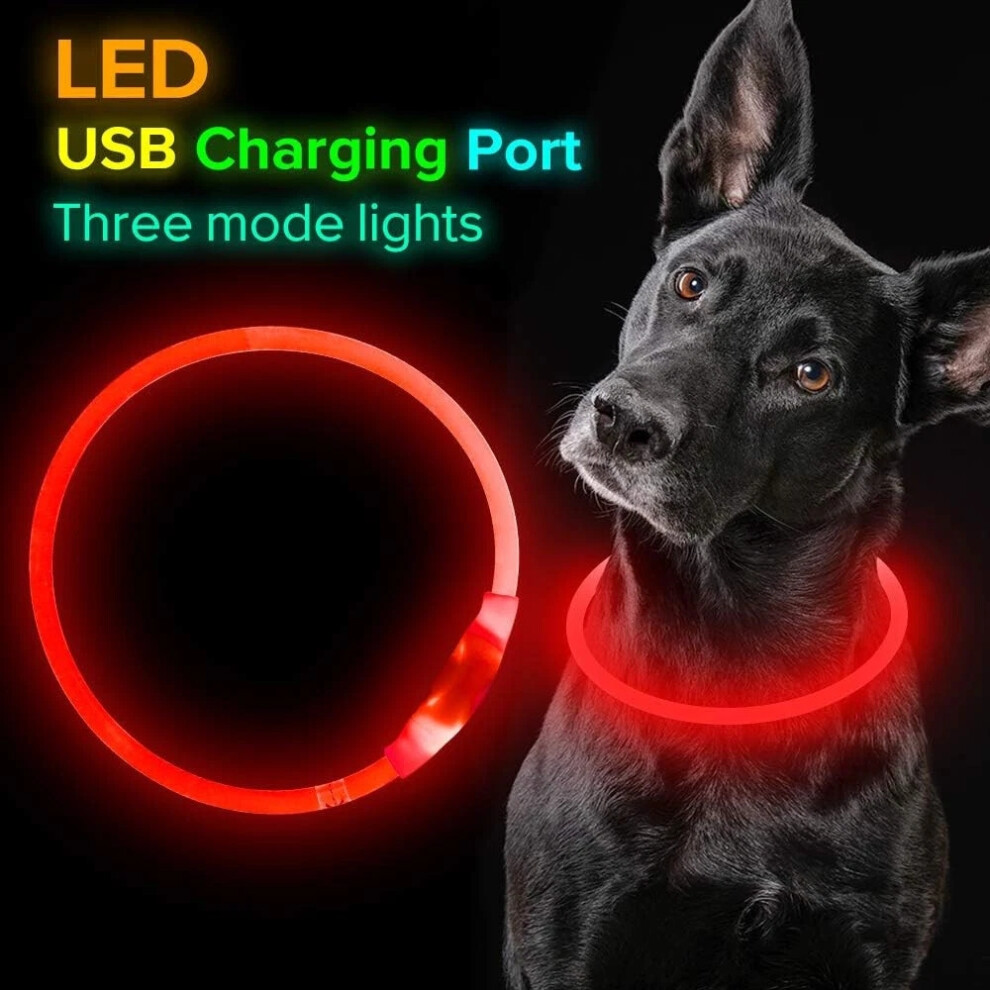 (Red, Medium) Flashing LED Light Up Dog Collar USB Rechargeable Pet Luminous Safety Nylon-image-OPC-PMPB5Y6-NEW