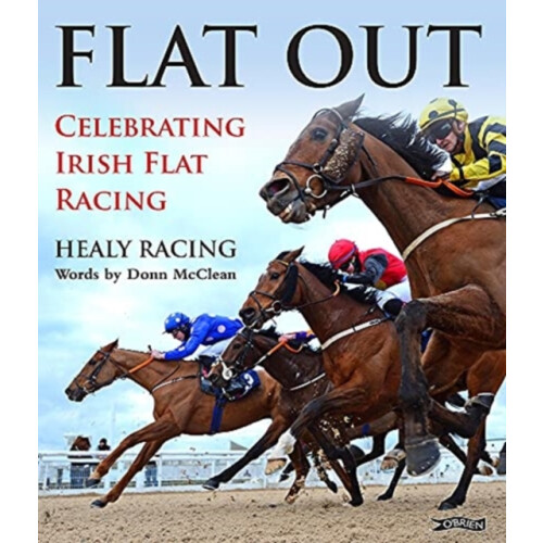 Flat Out by Donn McClean Hardcover Book