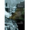 Ceive by B.K. Fischer Paperback Book 1