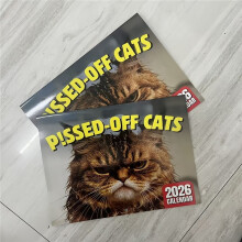 (2pcs) 2026 Calendar: PISSED-OFF CATS Meme Wall Calendar, Thick Material Annual Planner with Halloween and Christmas Holidays Marked