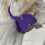 Clips de sac de nourriture pour animaux de-Un style chiot 3