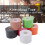 Reliable 6Pcs Kinesiology Tape 5cm Width Breathable Athletic Support 5