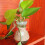1 Set Party Hanfseile Dekorative Handgefertigte Jute 8