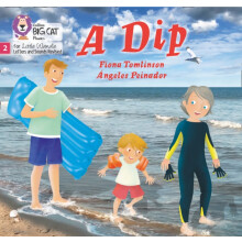 A Dip by Fiona Tomlinson Paperback Book