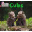 Cubs by Sasha Morton Paperback Book 1
