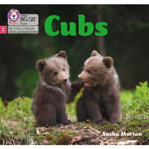 Cubs by Sasha Morton Paperback Book