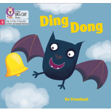 Ding Dong by An Vrombaut Paperback Book