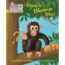 Dont Blame Me by Charlotte Guillain Paperback Book