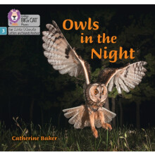 Owls in the Night by Catherine Baker Paperback Book
