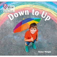 Down to Up by Hawys Morgan Paperback Book