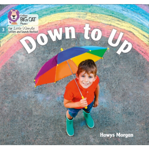 Down to Up by Hawys Morgan Paperback Book