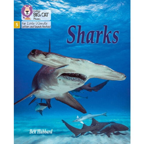 Sharks by Ben Hubbard Paperback Book
